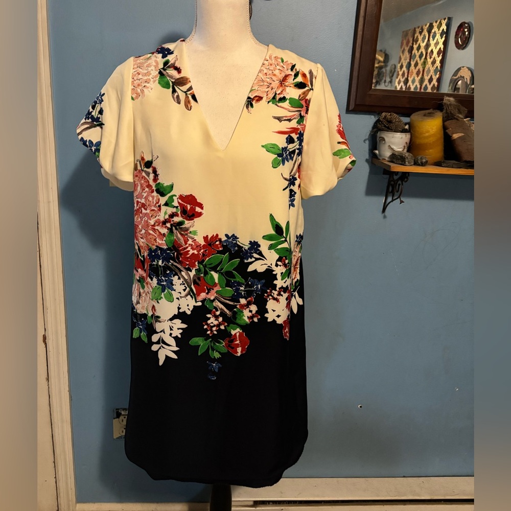 Zara Basic, Floral, V-Neck, Dress